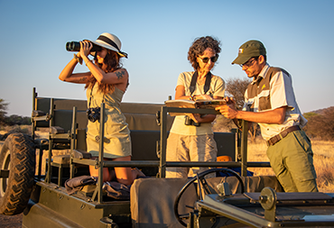 Safari en véhicule